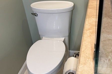 Toilet Repair