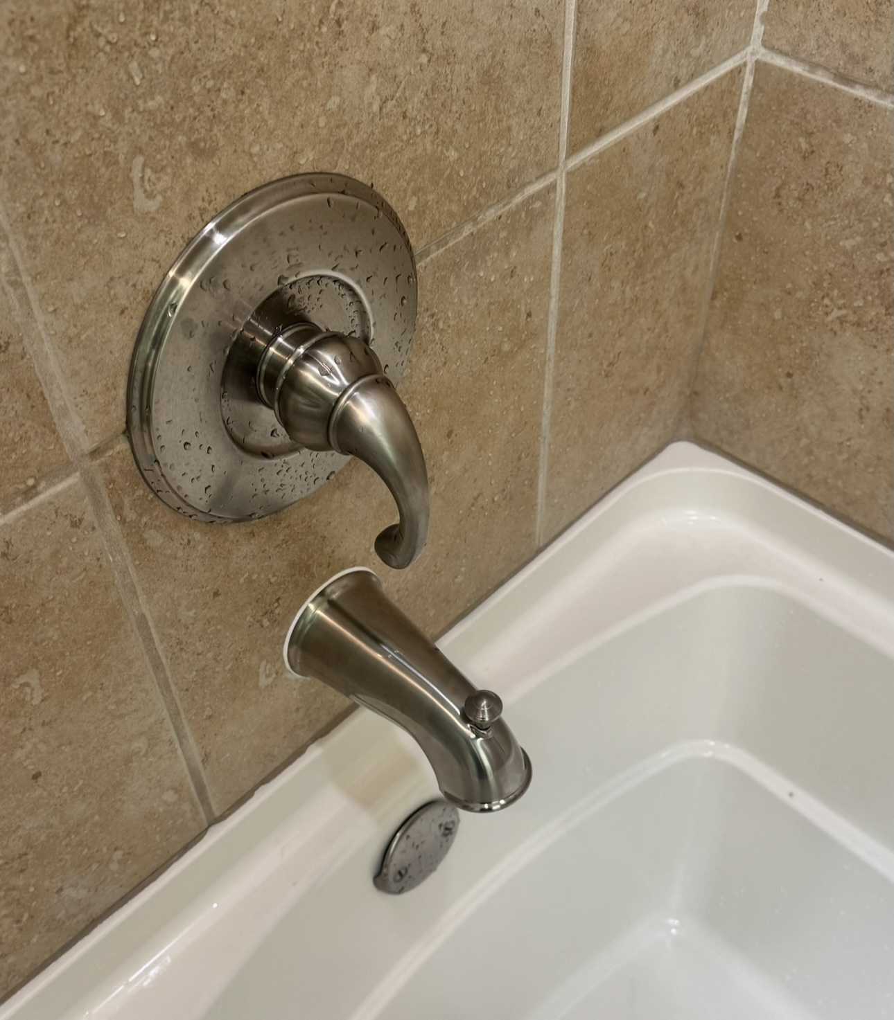 Replacing a tub spout and flushing water line in Northern Virginia 