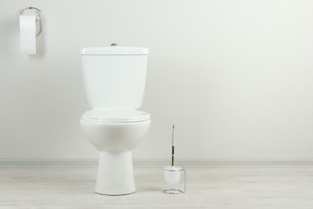 Toilet Repair