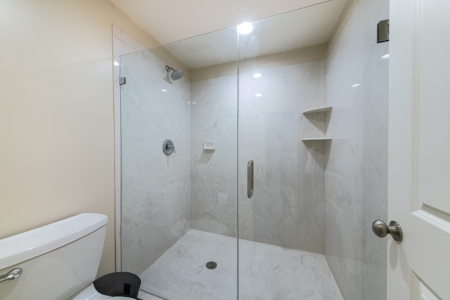 Tub to Shower Conversion